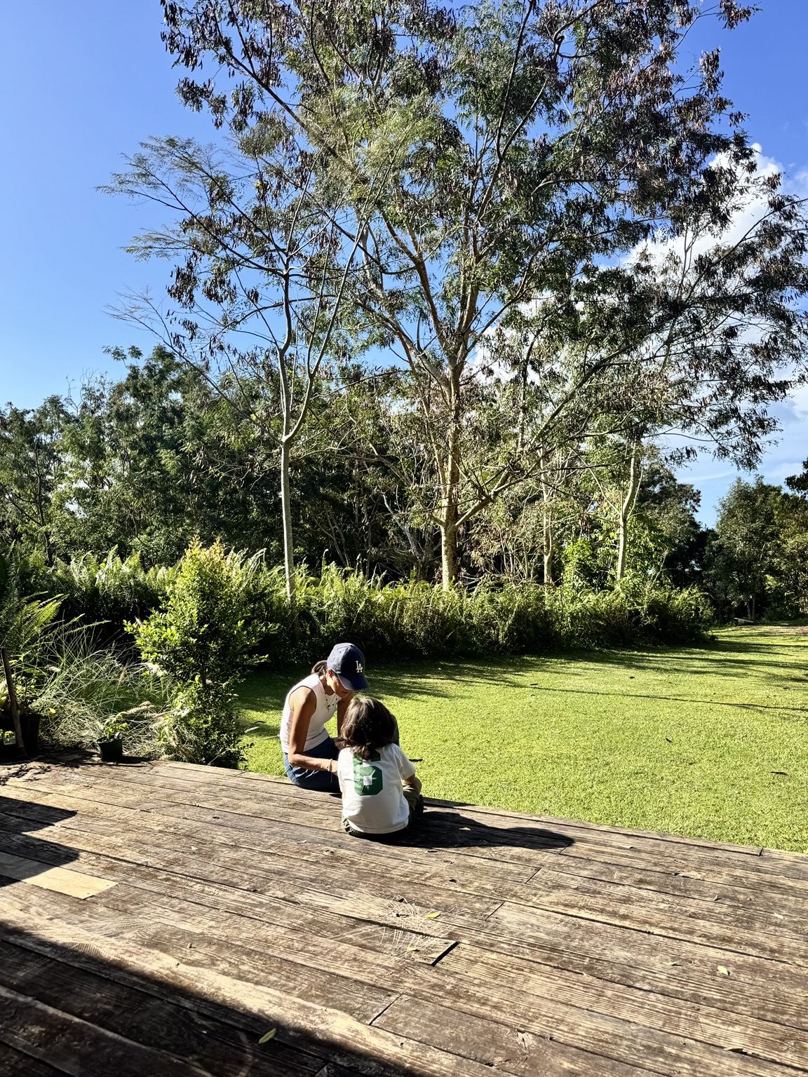 Vida cotidiana en la finca